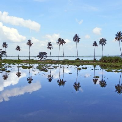 Vembanad_Lake_at_Kumarakom